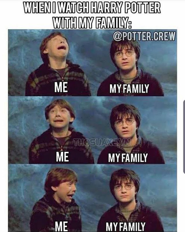 Harry-Potter-memes