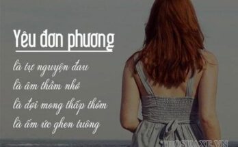 yeu-don-phuong-la-gi
