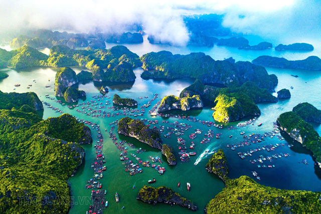 Việt Nam là nơi có rất nhiều khu dự trữ sinh quyển thế giới lớn