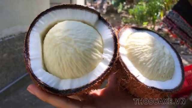 Mộng dừa là gì? Mộng dừa là phần lõi trắng mọc ở bên trong quả dừa già